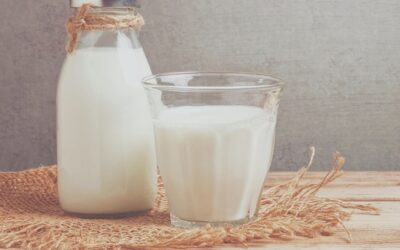 Il latte: un alimento prezioso quanto discusso